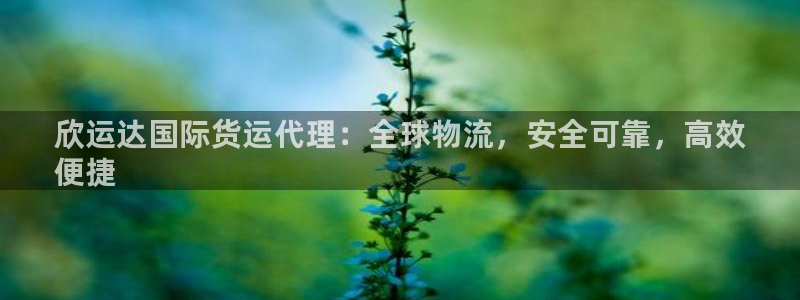 尊龙棋牌老板是谁：欣运达国际货运代理：全球物流，安全可靠