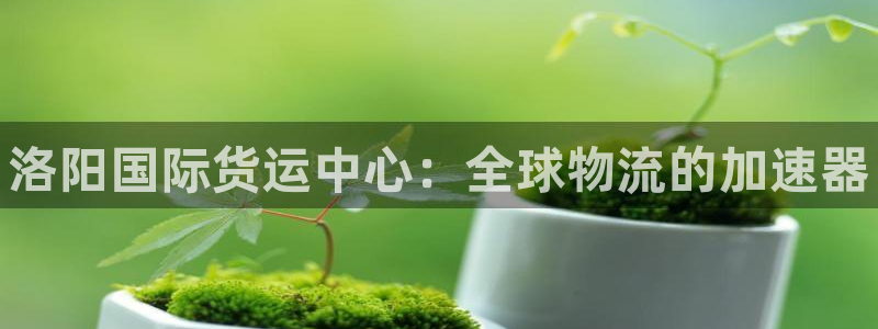 尊龙手机官方客户端下载安装