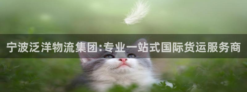 尊龙集团有限公司官网地址