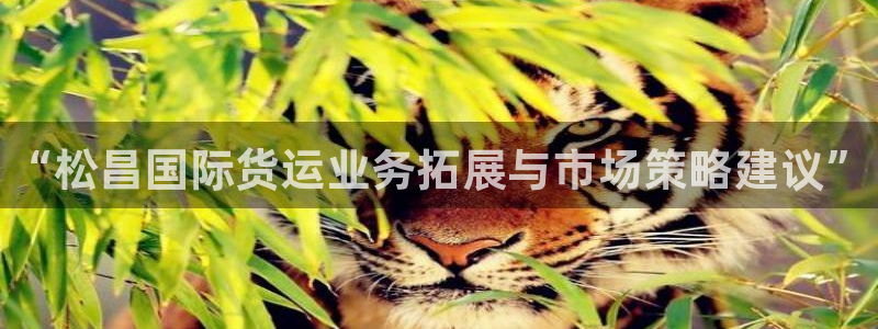 尊龙凯时是直营吗