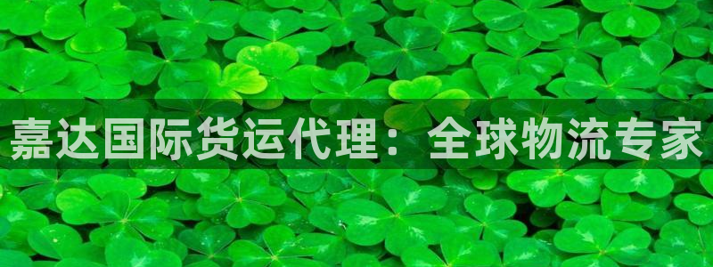 尊龙网站手机下载