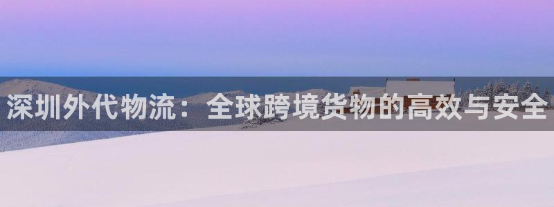 尊龙凯时能做退米么：深圳外代物流：全球跨境货物的高效与安
