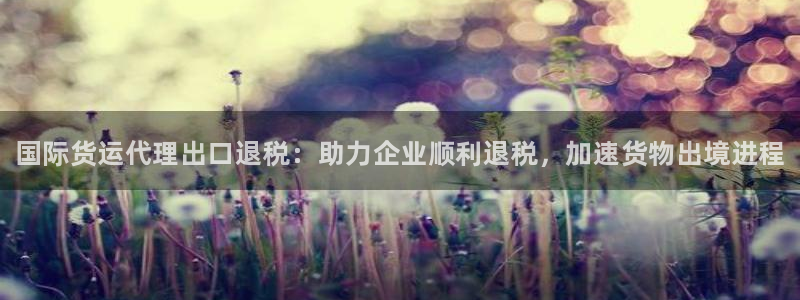 尊龙d88ag官方网站：国际货运代理出口退税：助力企业顺