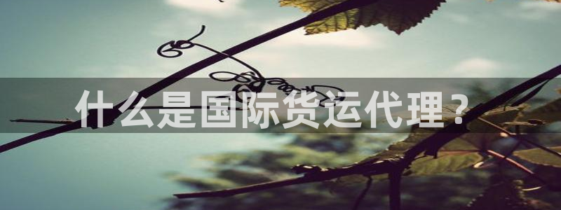 尊龙百度贴吧：什么是国际货运代理？