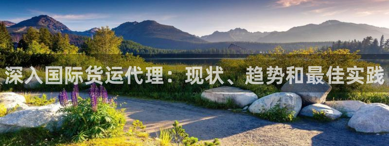 尊龙凯时-人生就是博中国官网首页：深入国际货运代理：现状