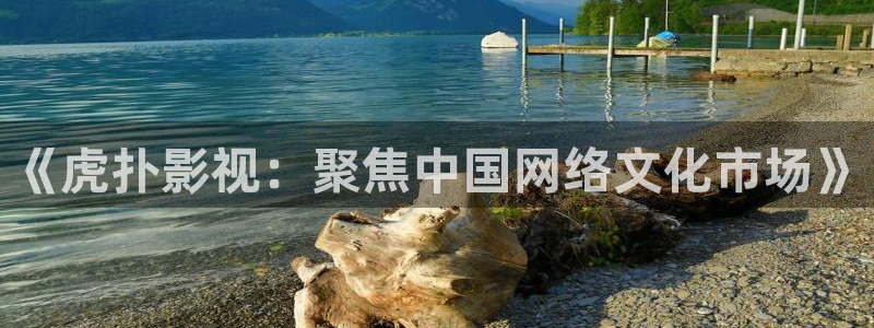 苹果小小影视