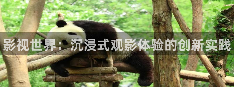 苹果小小影视