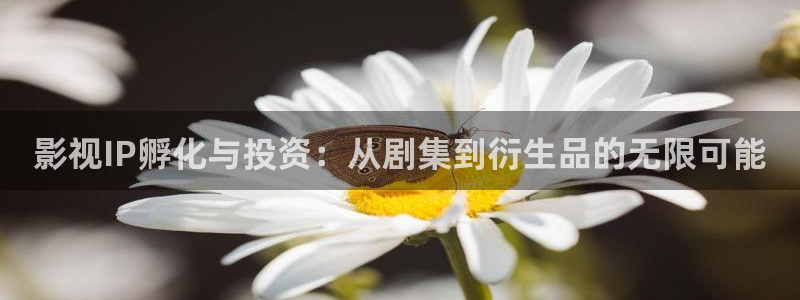 电影苹果韩国