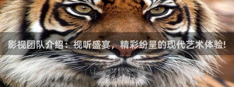 苹果影院在线观看